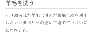 羊毛を洗う